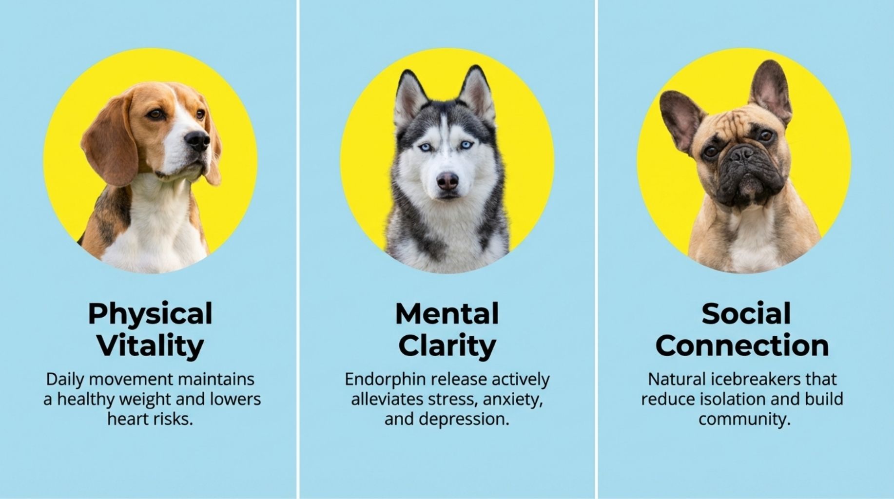 a beagle, husky and a pug