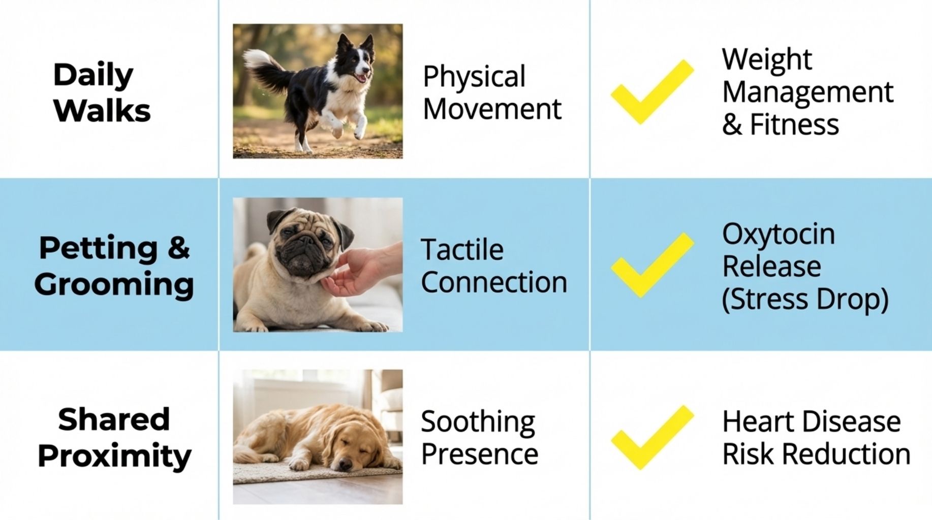 the ways your dog heals you daily