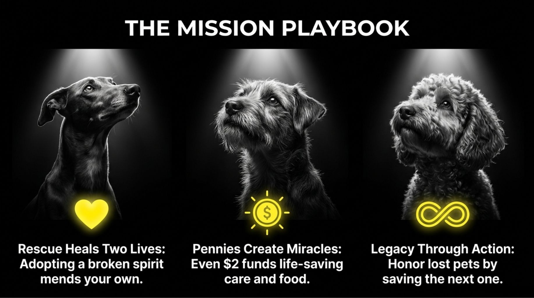 Mission for Dogs Who Changed Our Lives