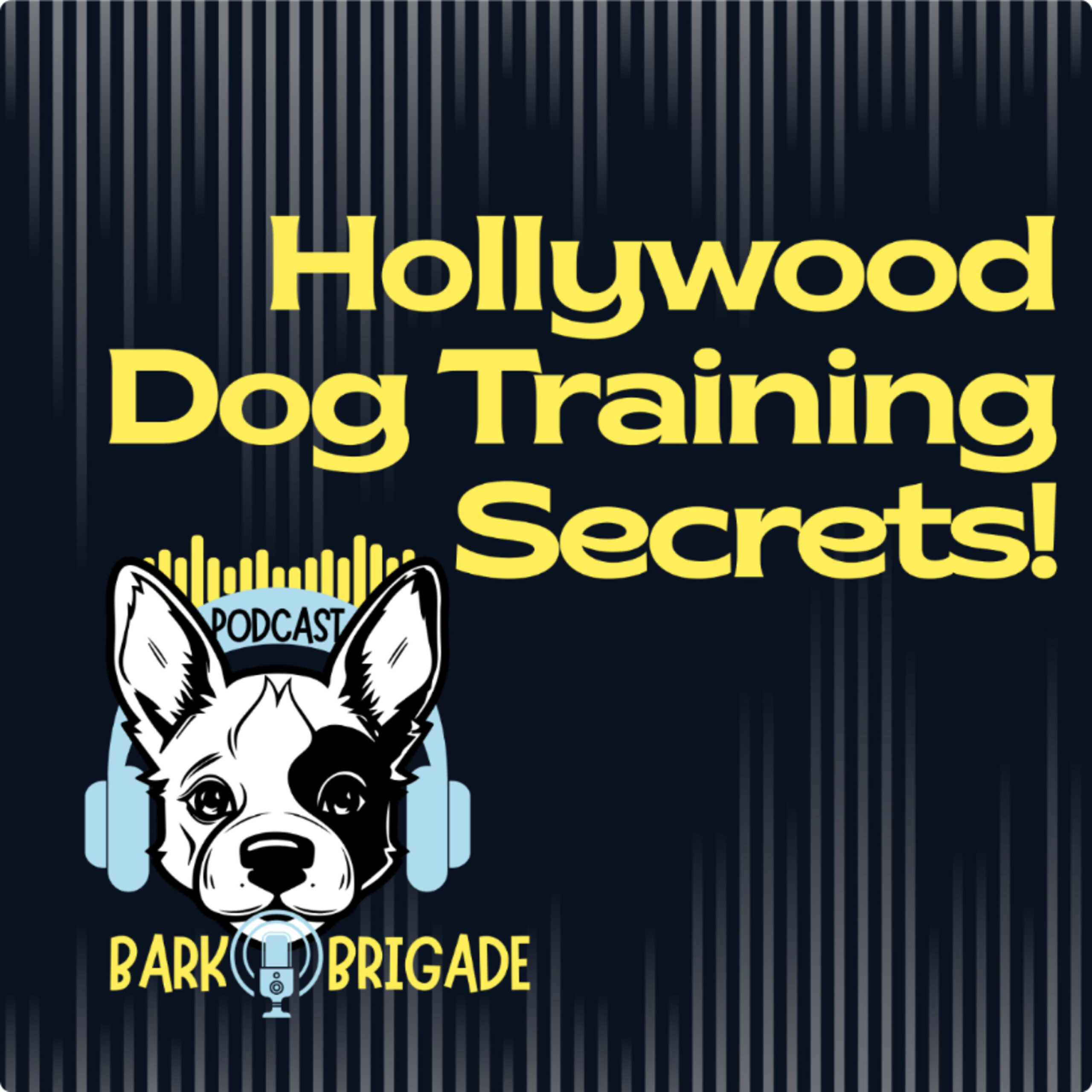 Hollywood dog training secrets