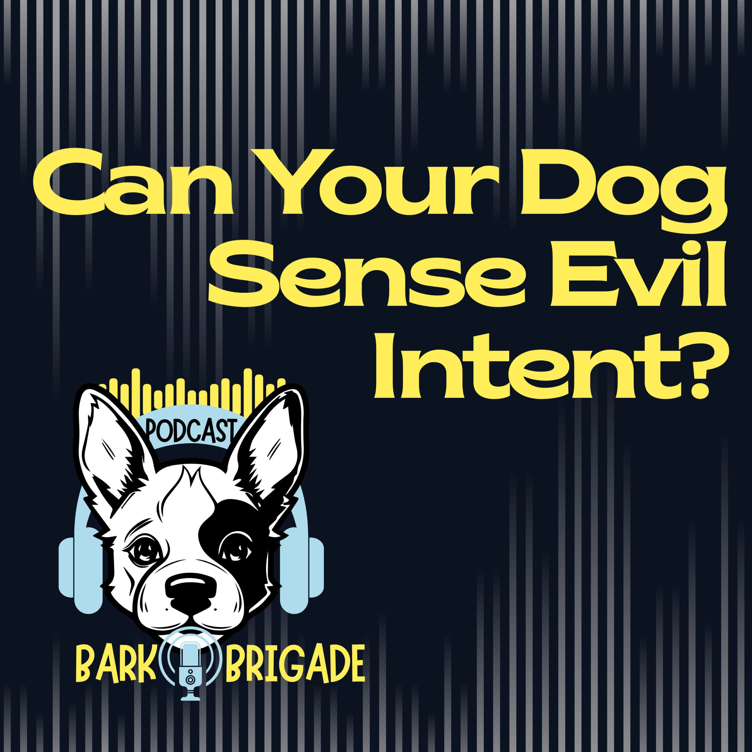 dogs can sense evil intent