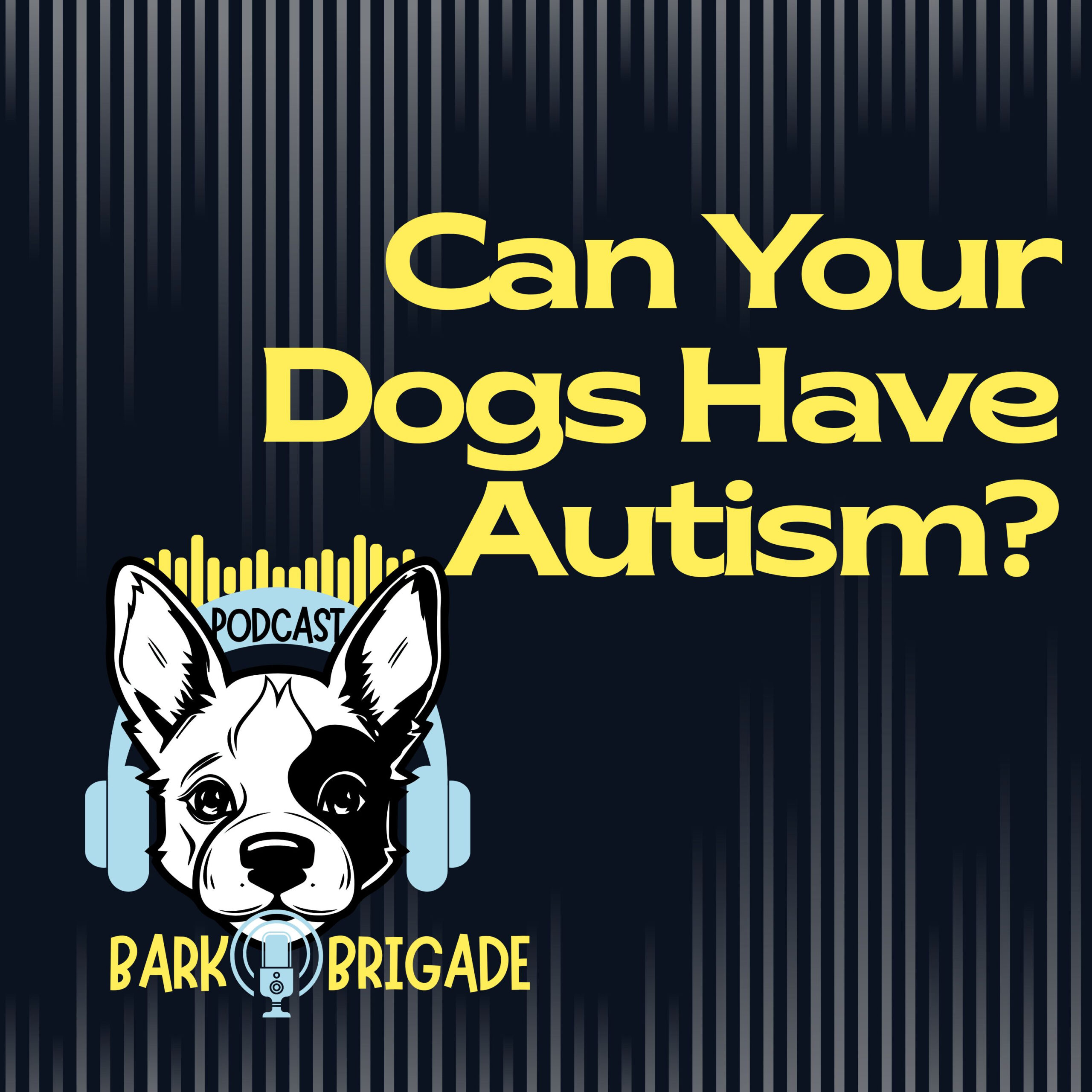 can dogs have autism