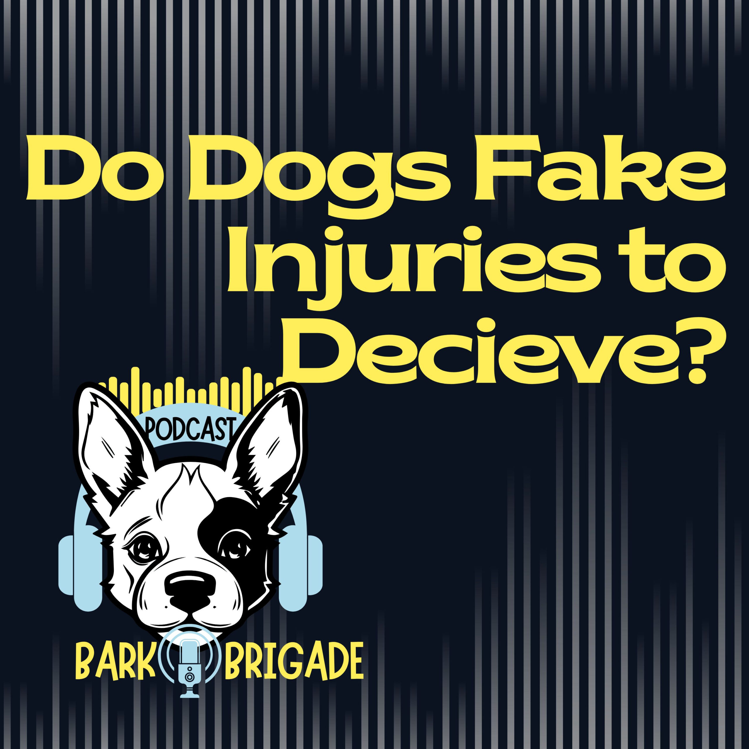 do dogs fake injuries podcast episode