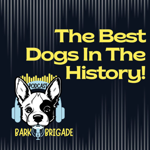 the best dogs in the history