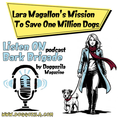 Lara Magallon mission to save one milion dogs