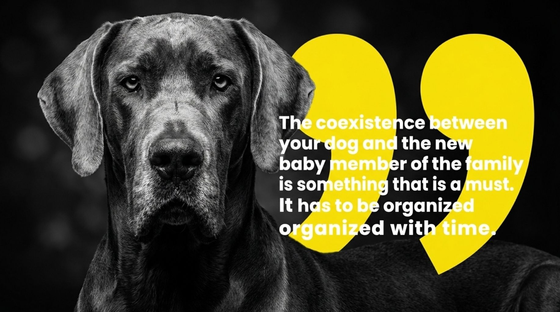 dog quote