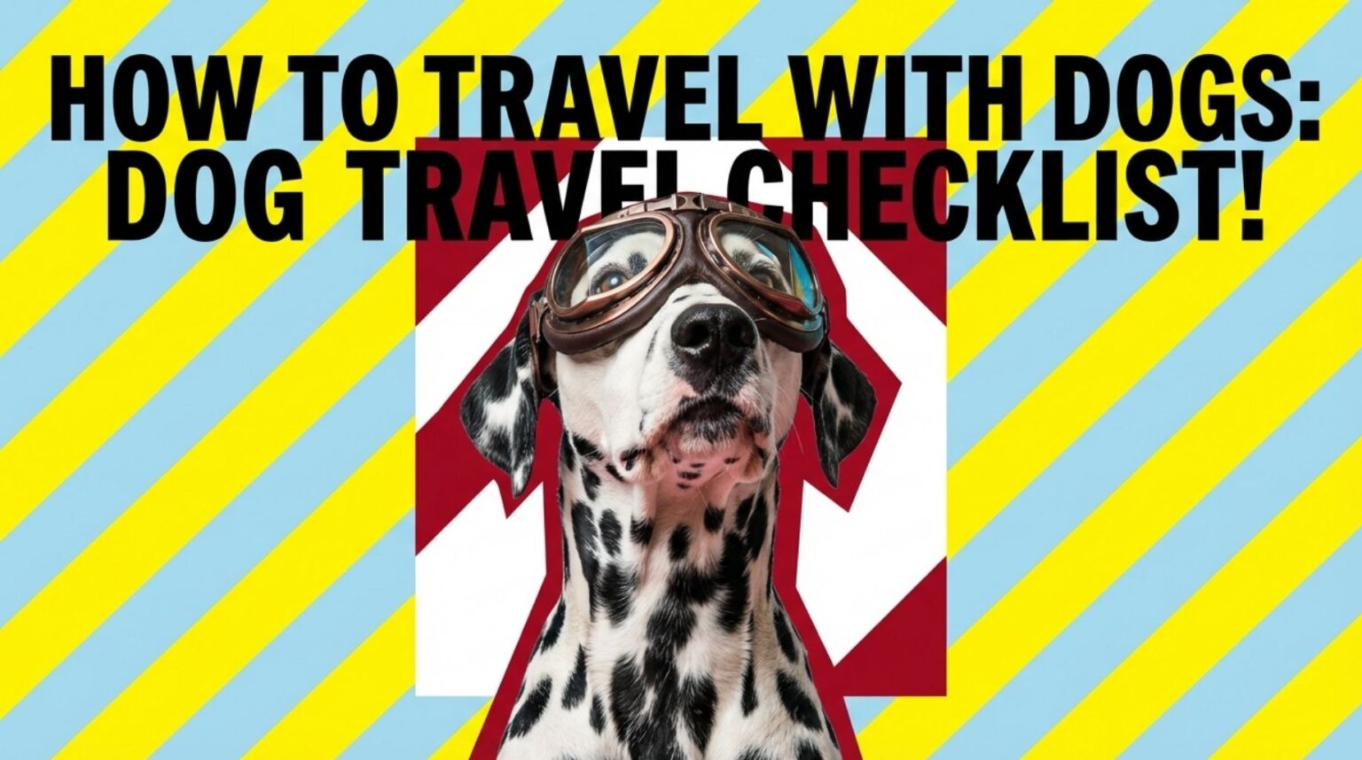 How to travel with dogs
