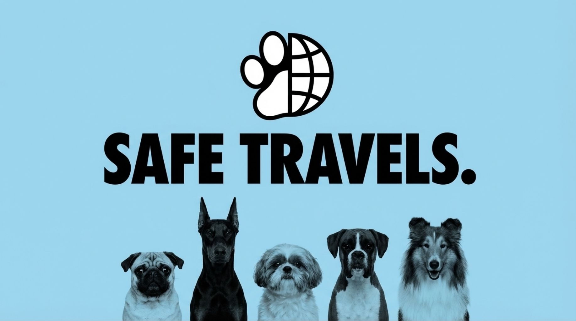 how to travel with your dogs