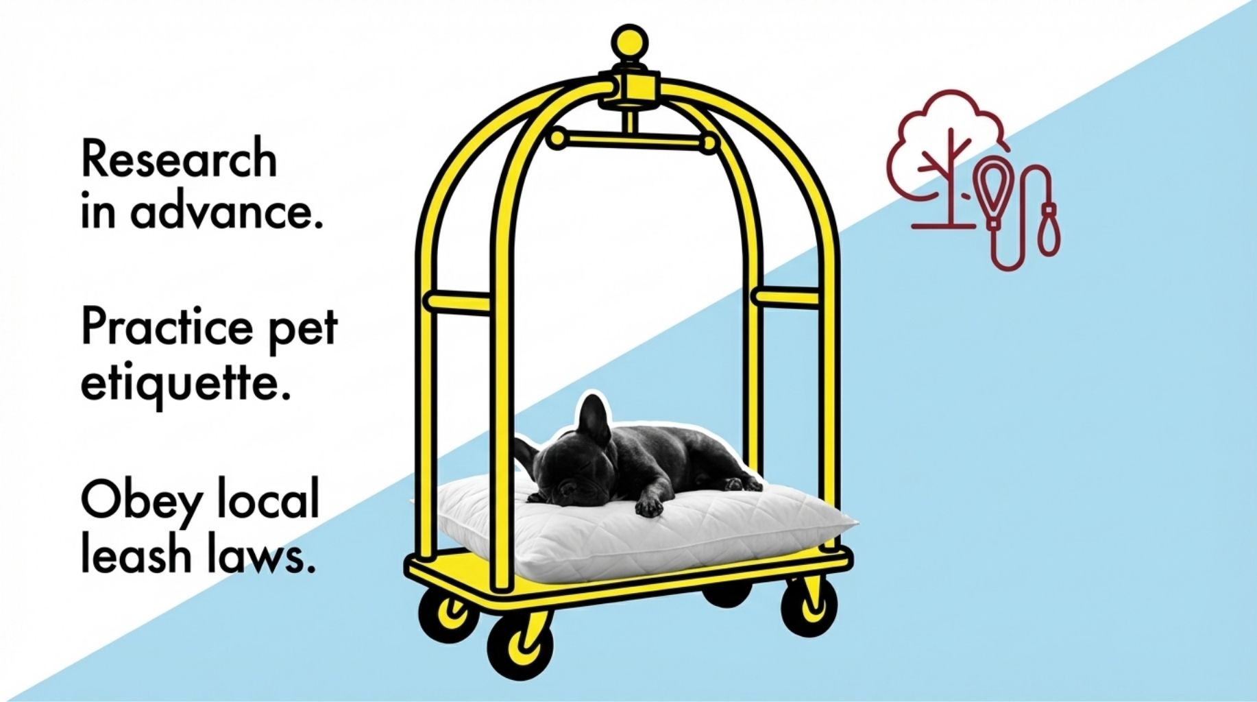 what to do and how to travel with your dogs