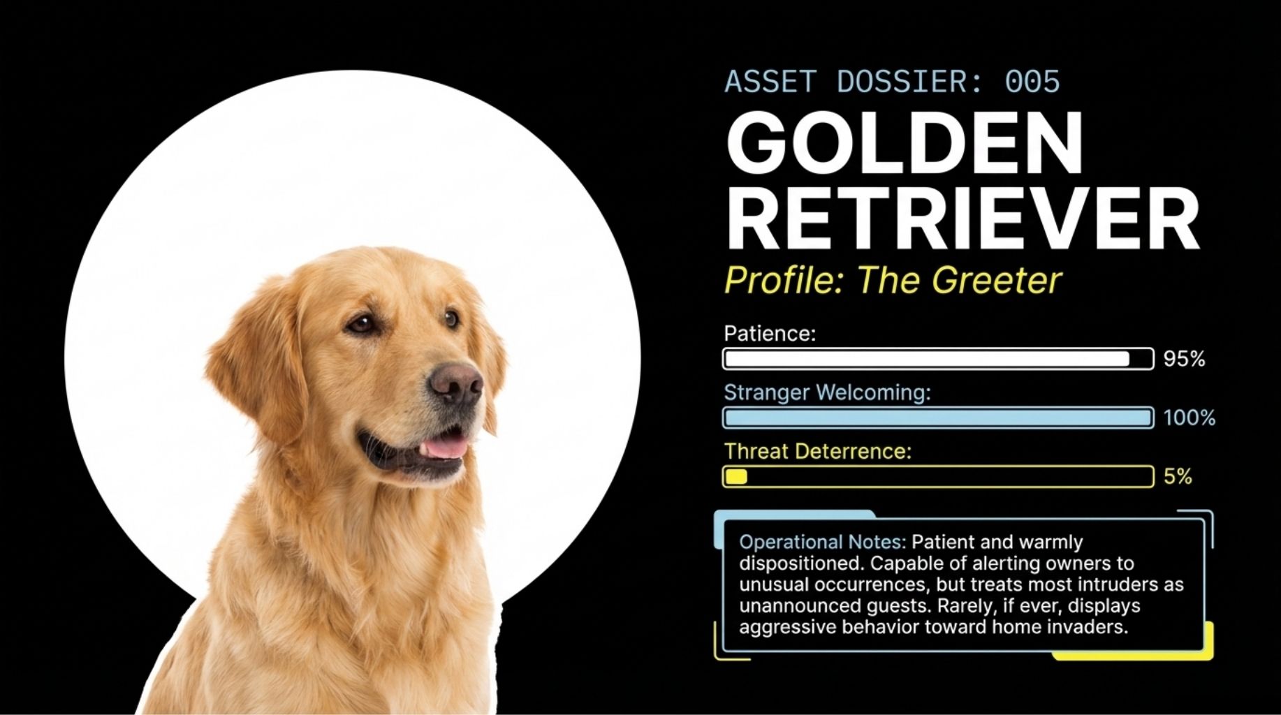 Golden retriever as Guard dog