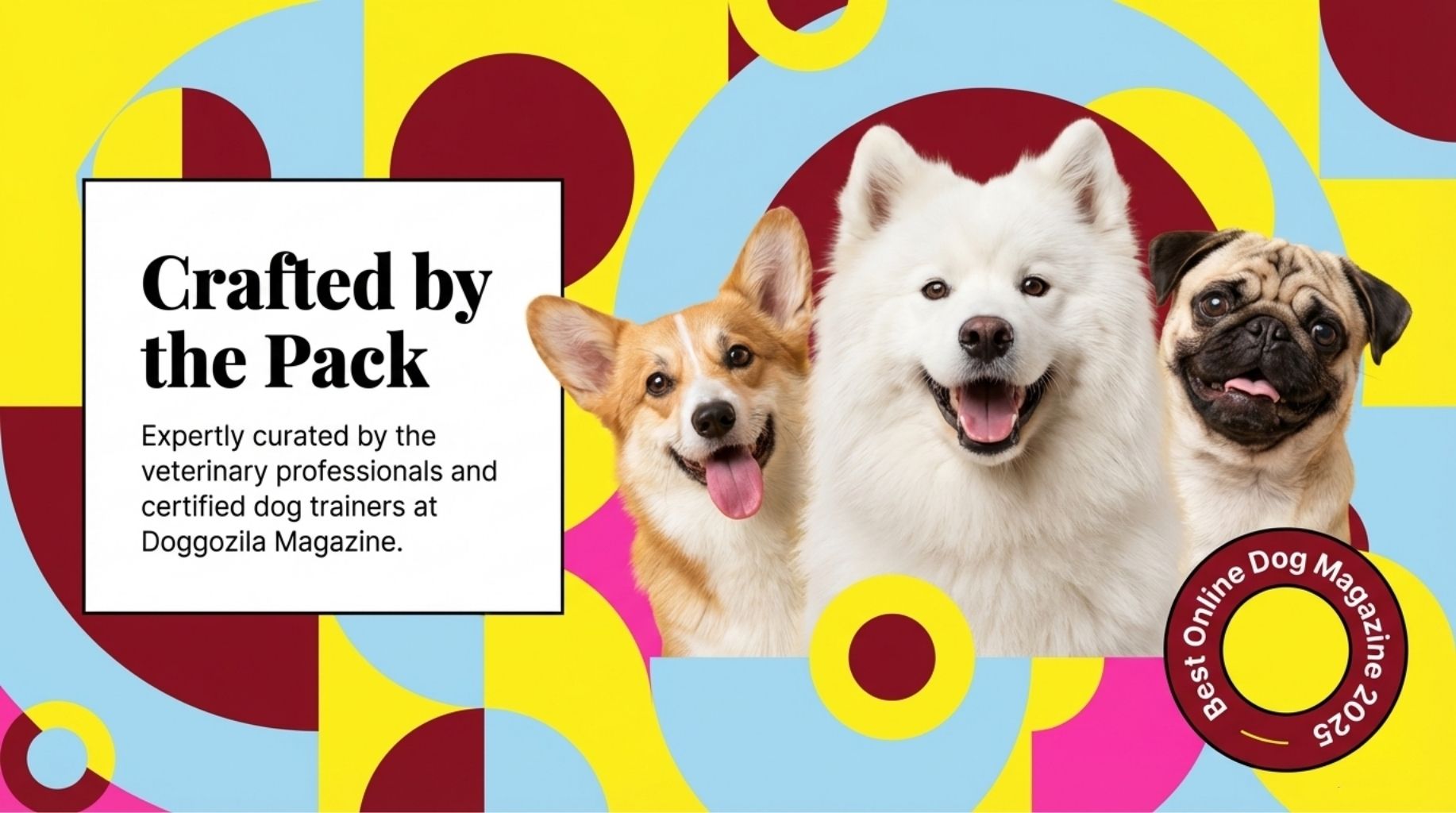 the article How To Maintain Your Dog’s Fur for All Seasons is provided by doggozila magazine