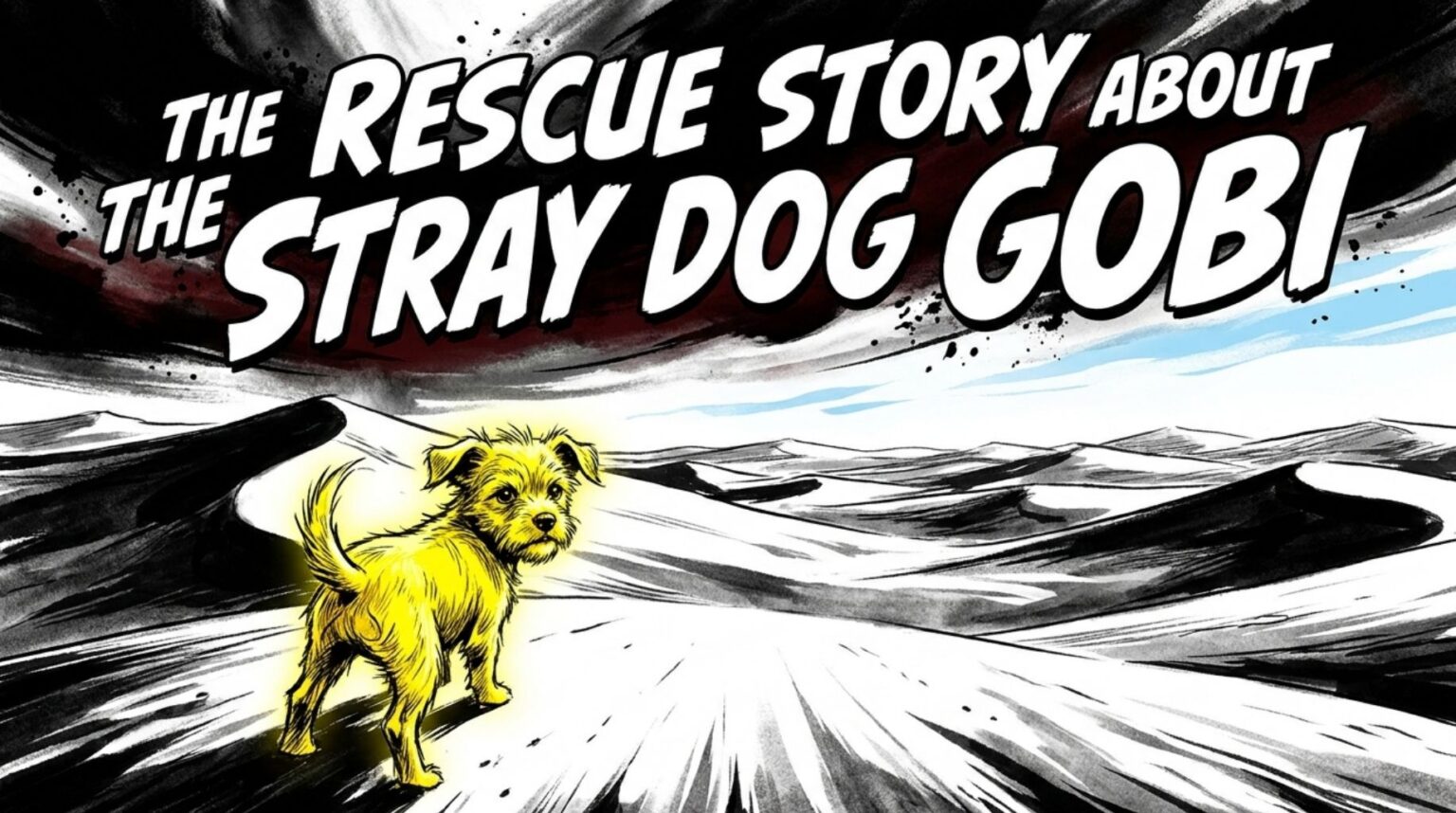 One Remarkable Stray Dog Rescue Story That Will Restore Your Faith