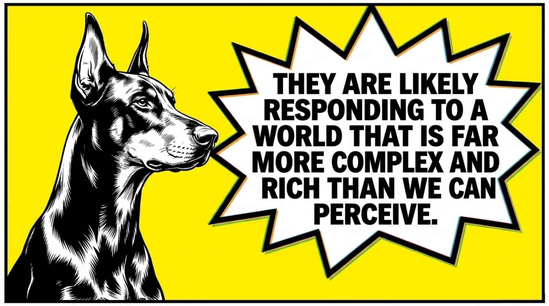 quote on why dogs bark at nothing