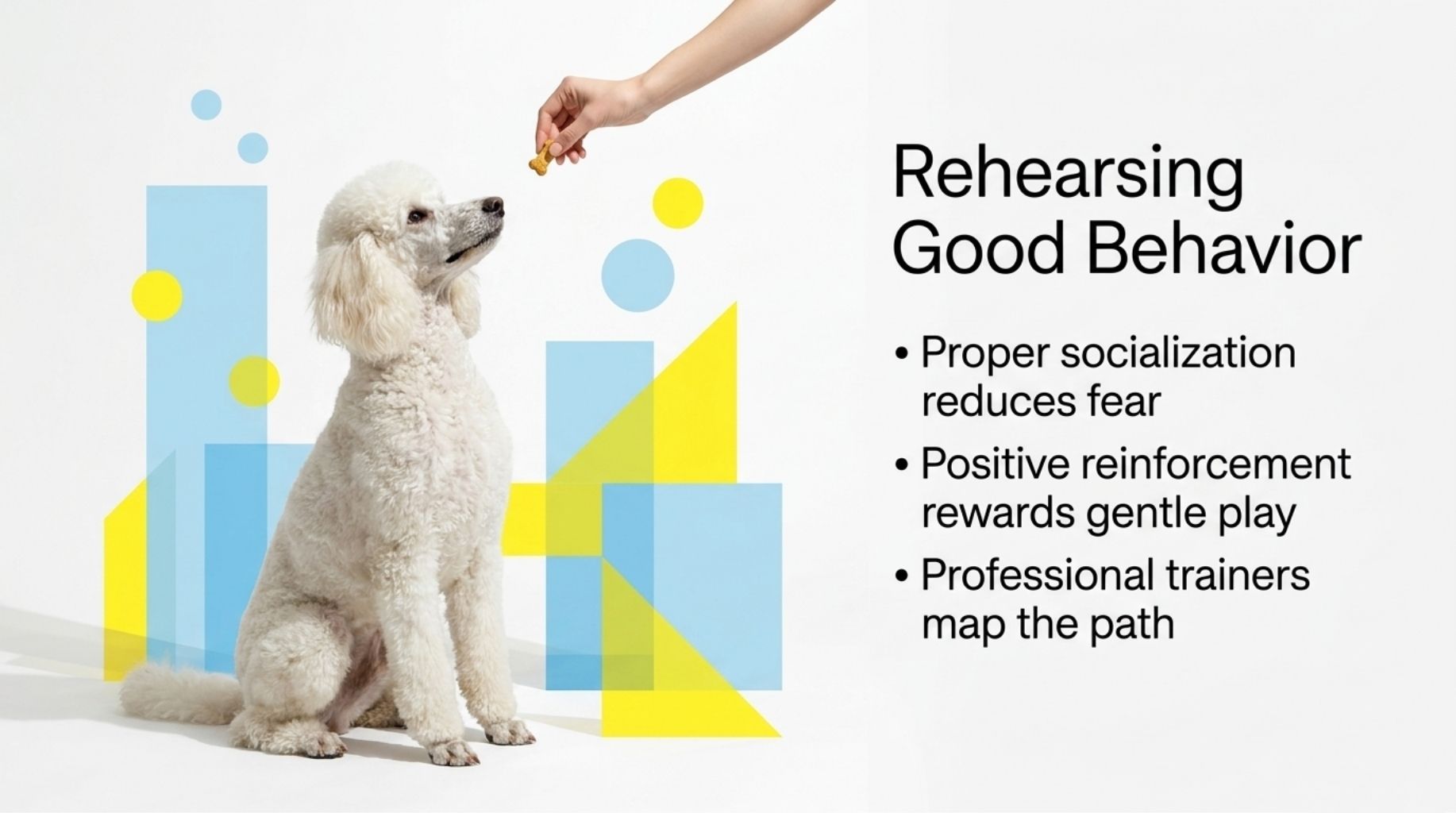 rehearse good dog behavior