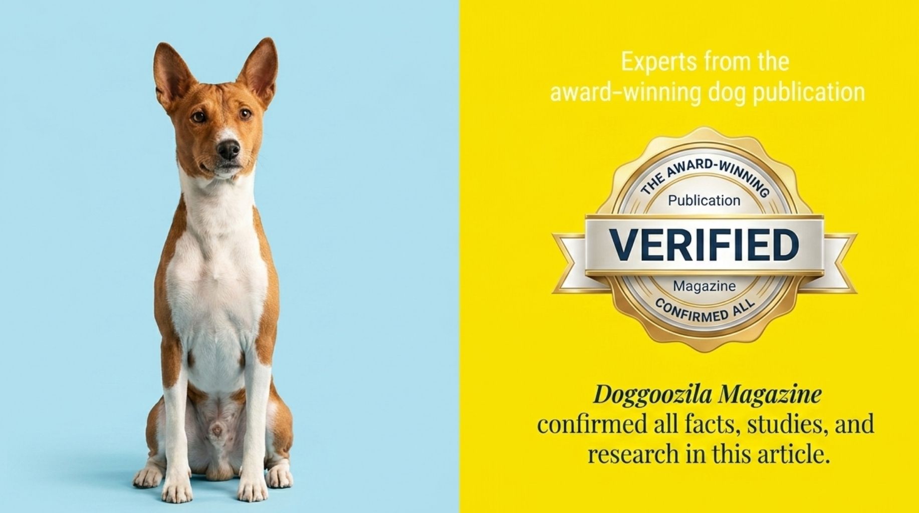 all dog facts verified by the award-winning dog publication Doggozila Magazine