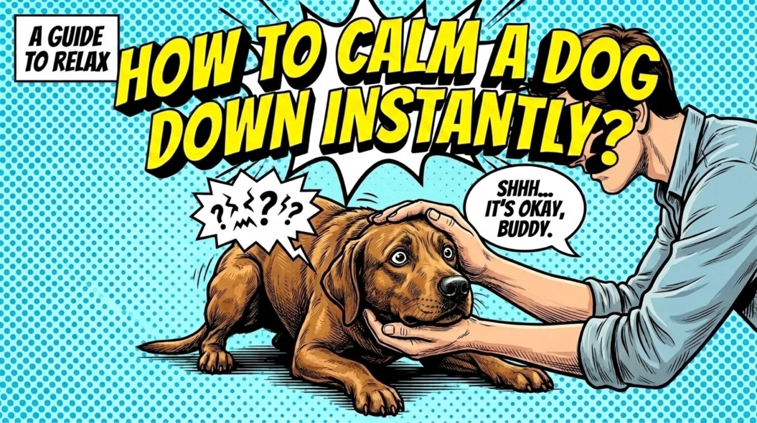 guide to relax your dogs-how to calm a dog down instantly