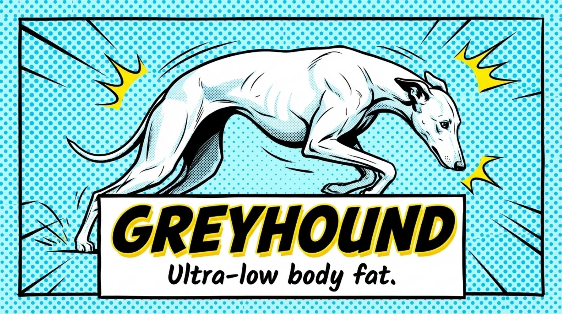 Greyhound
