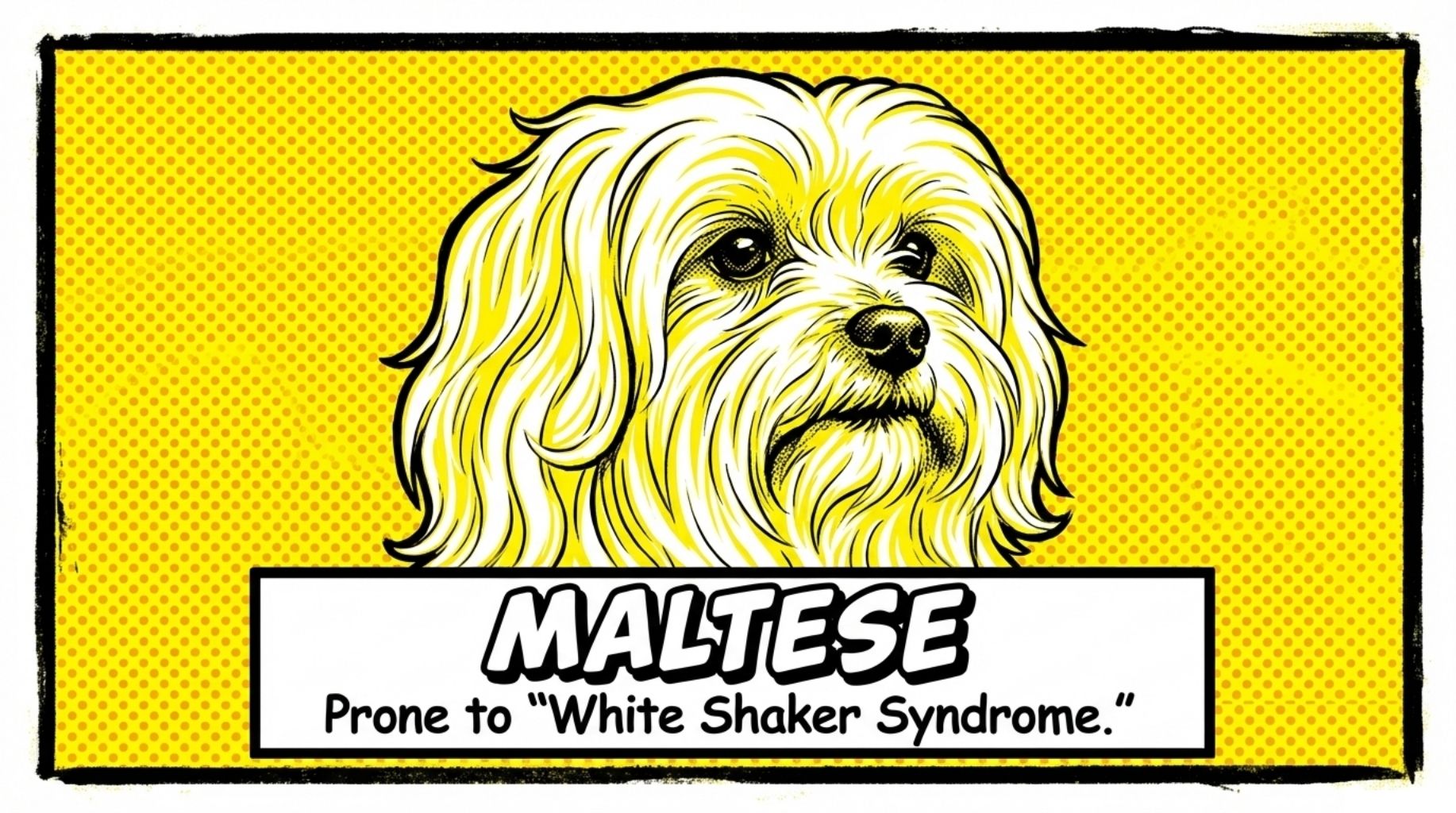 Maltese