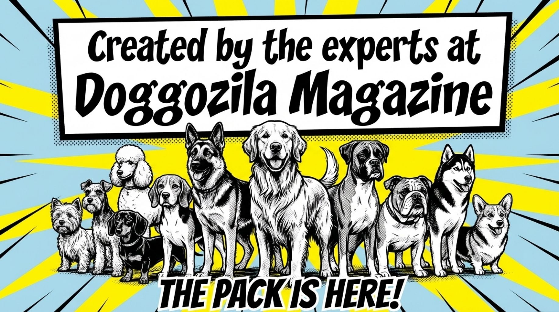 created by the experts at Doggozila magazine