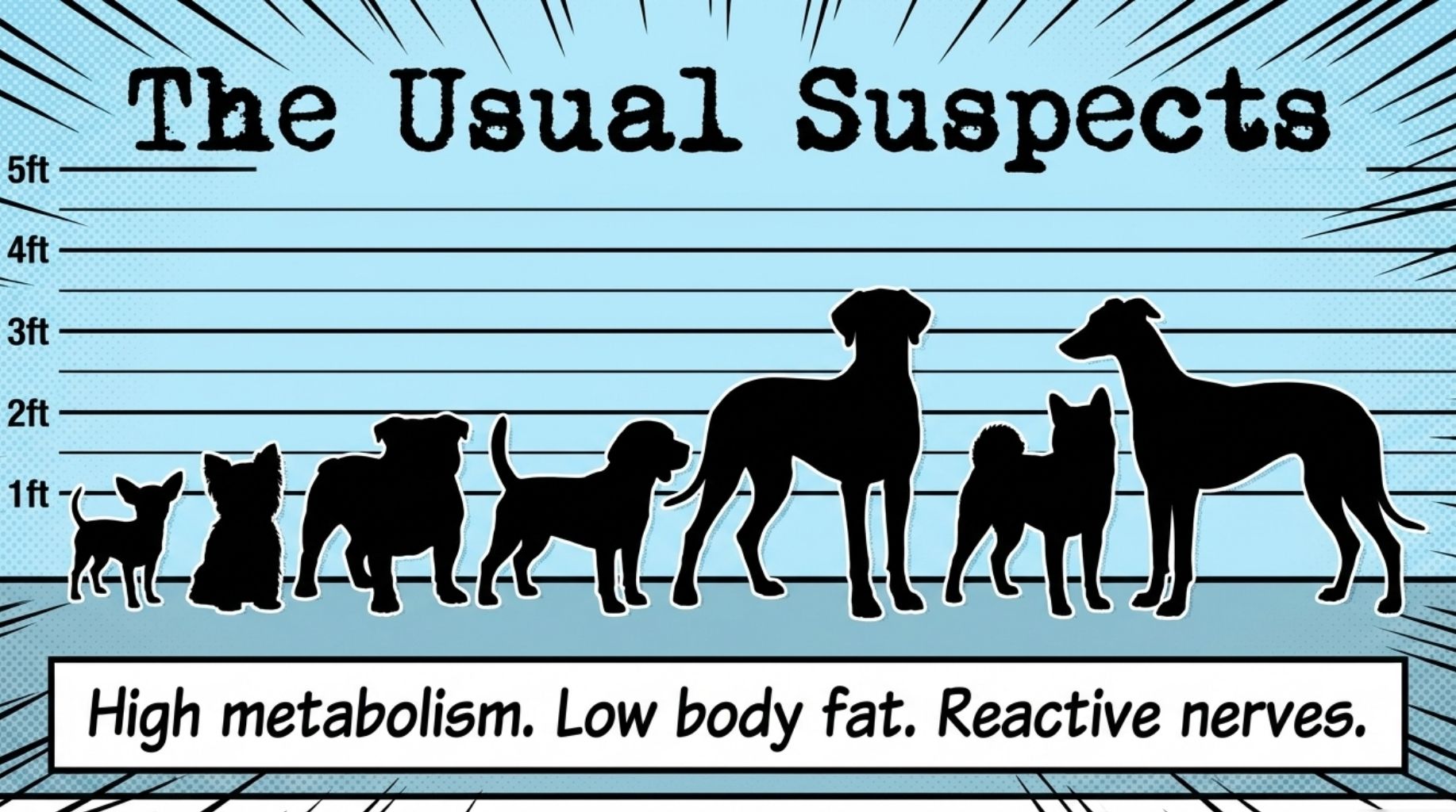the usual dog suspects