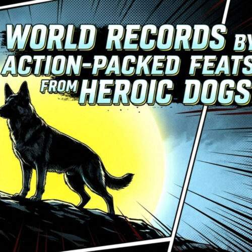 Paws of Greatness: World Records by Dogs