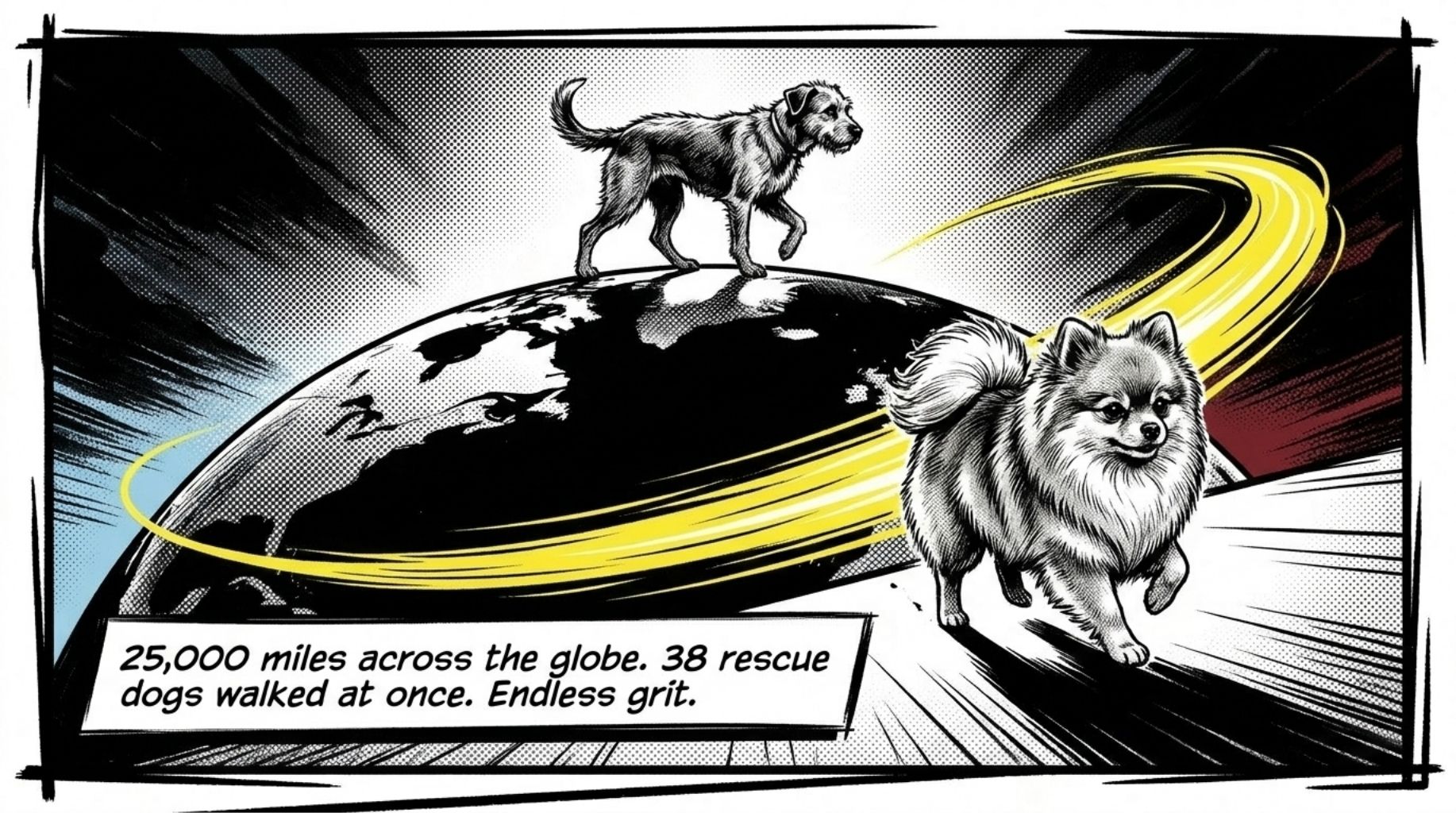 dog has walked 25000 miles across the globe