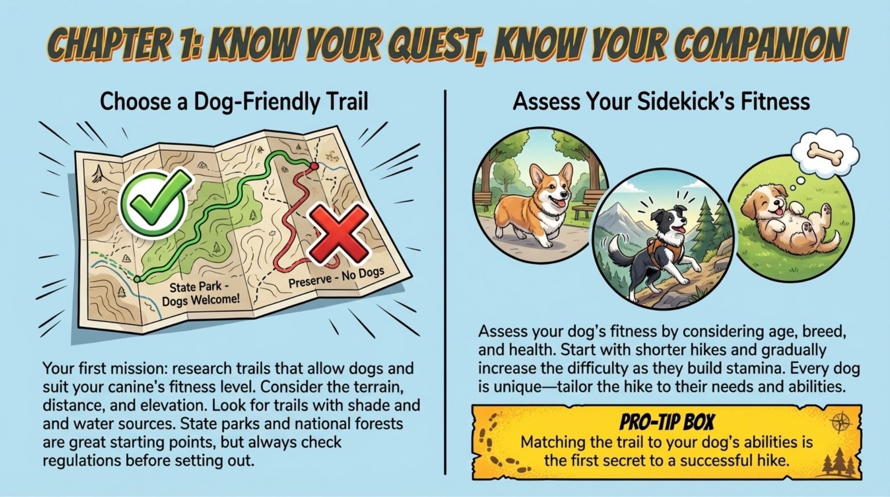 know your quest hiking with your dog