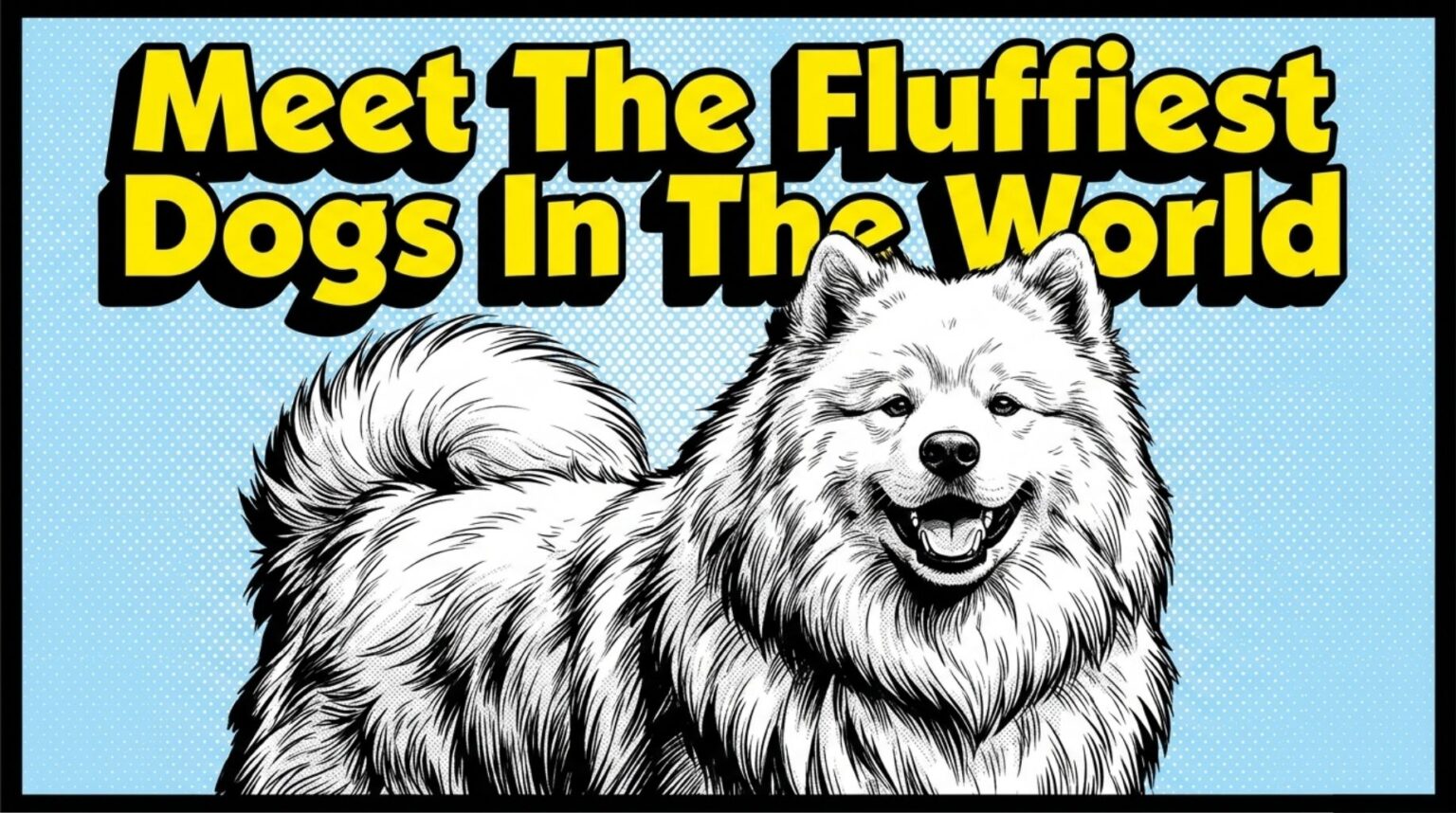 Meet The Fluffiest Dogs In The World