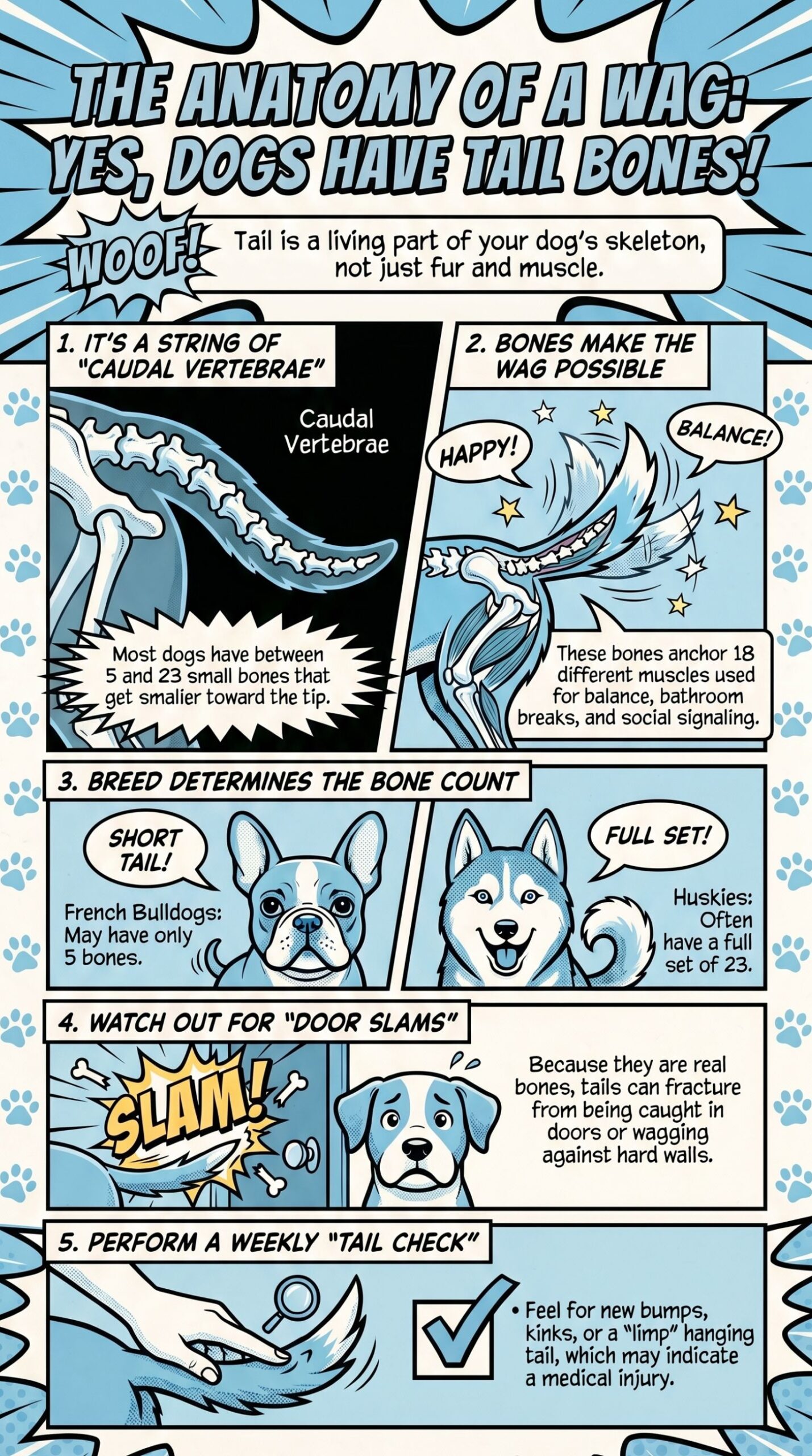 yes, dogs have tail bones