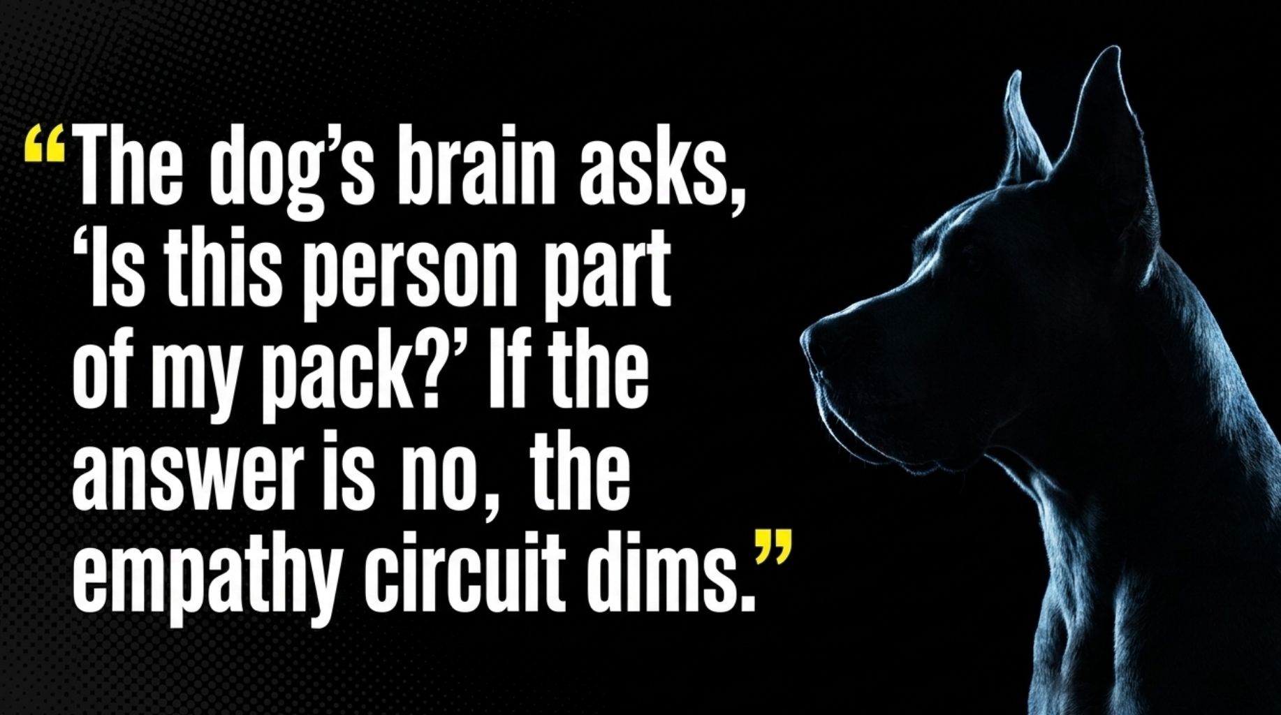 cool dog quote