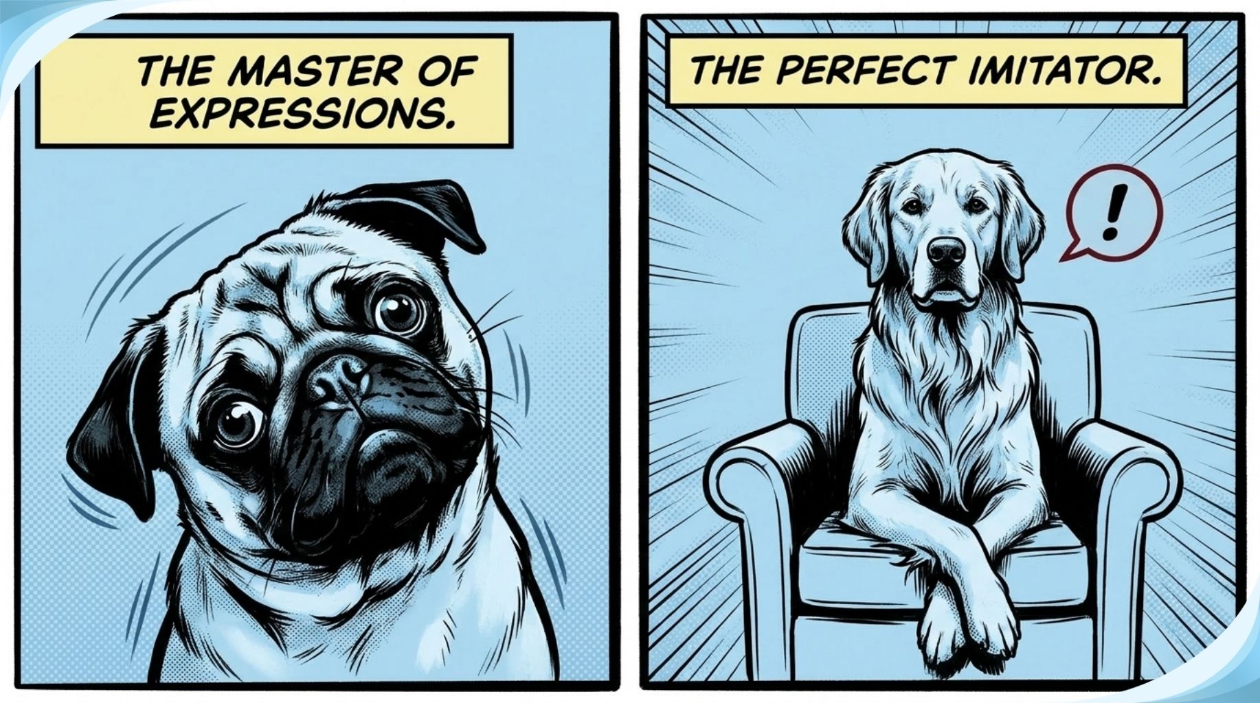 dogs are the masters of expressions and the perfect imitators