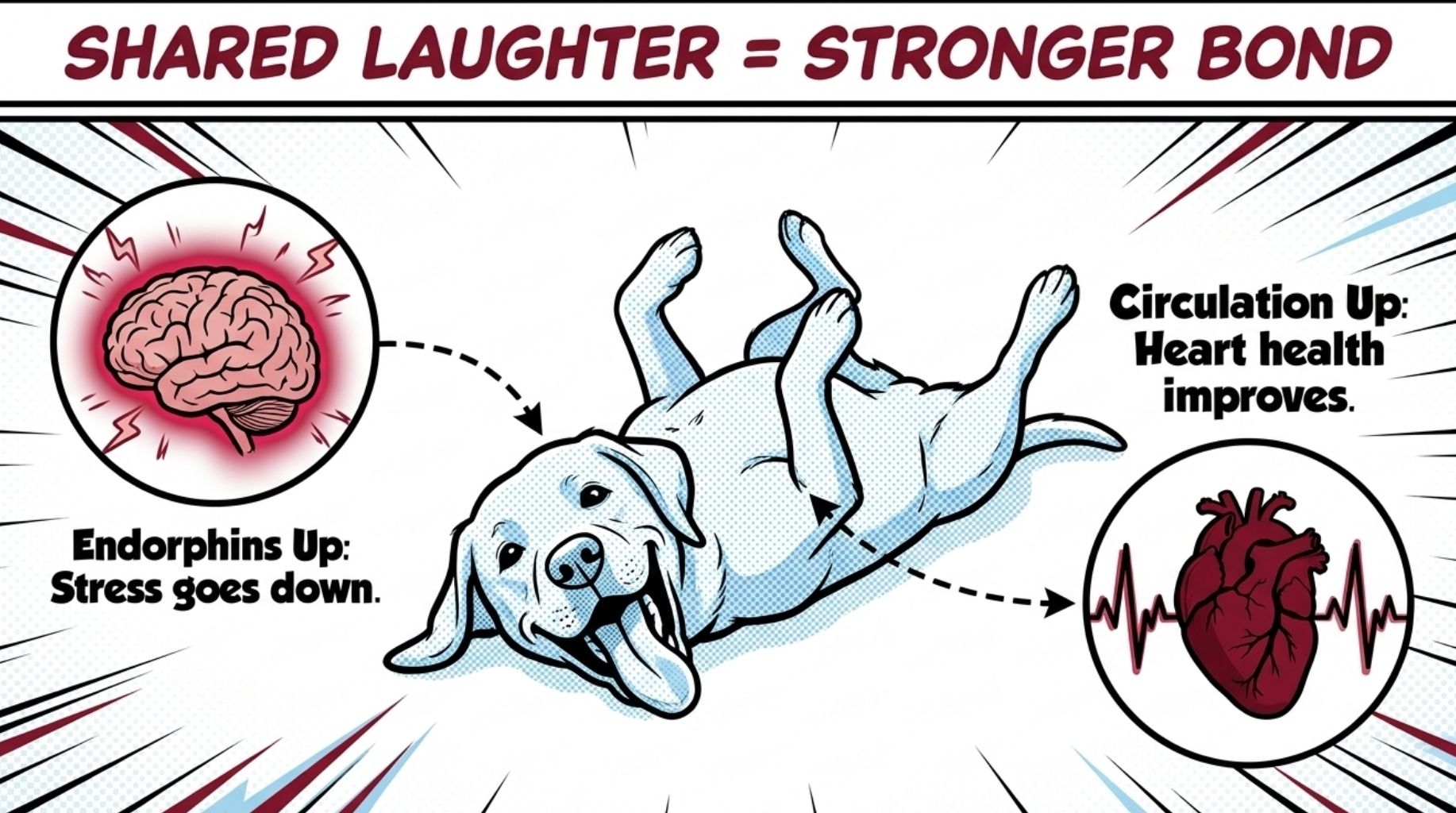 sharp laughter equals to stronger bonds between dogs and their owners