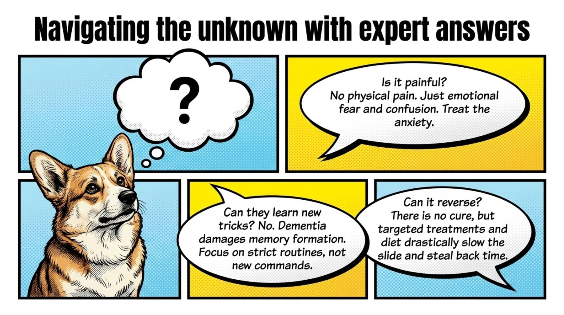 frequently asked questions about dog dementia symptoms