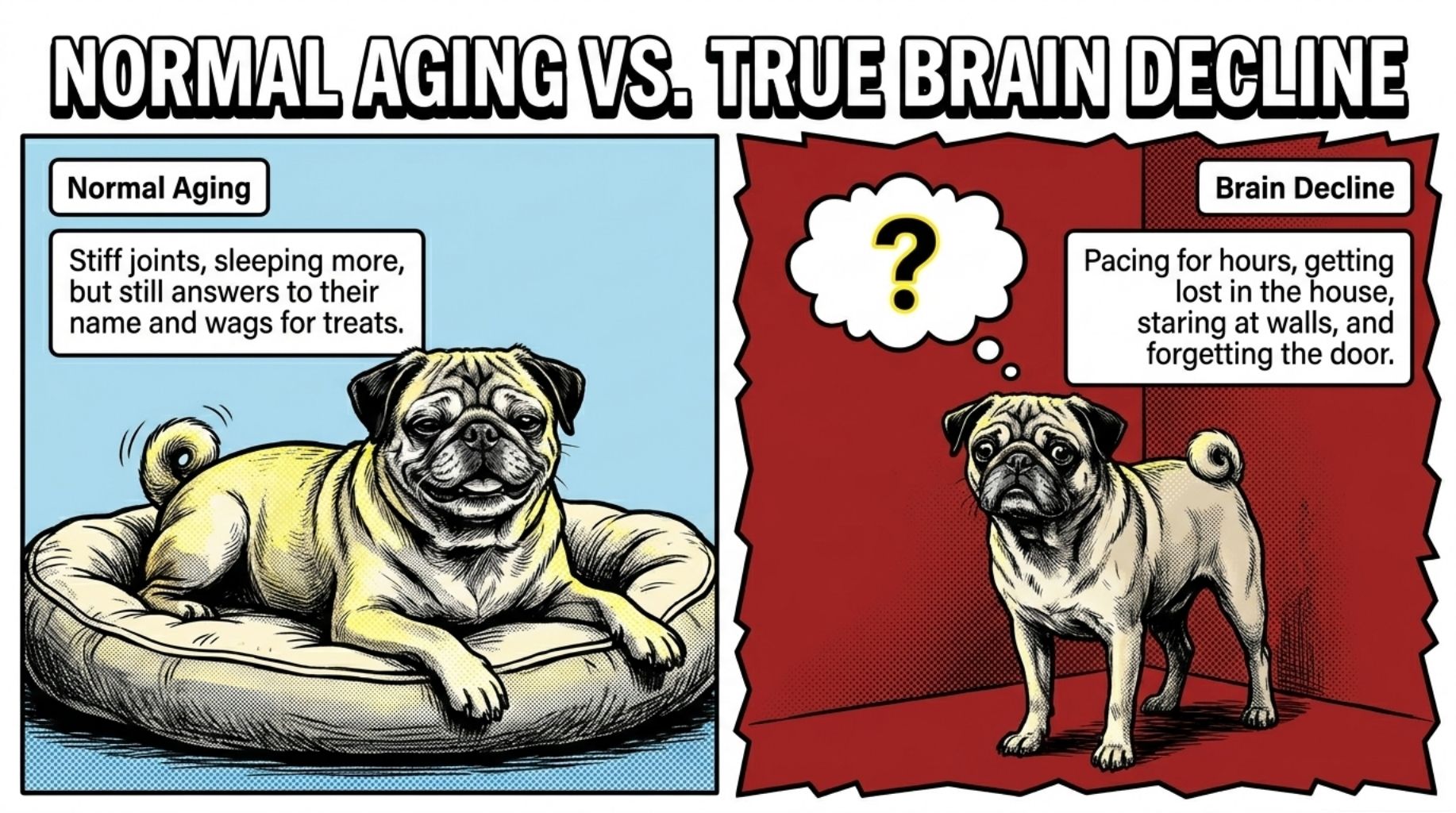 normal aging vs. true brain decline