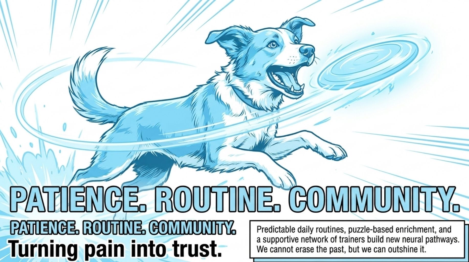 turn dog pain into trust