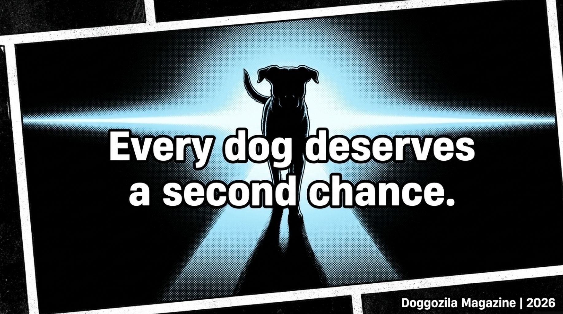 every dog deserves a second chance