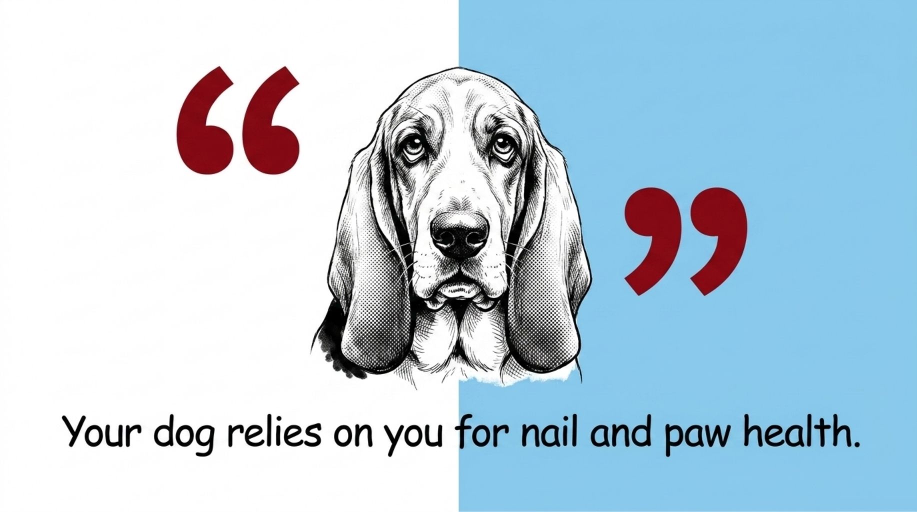 quote about paw health