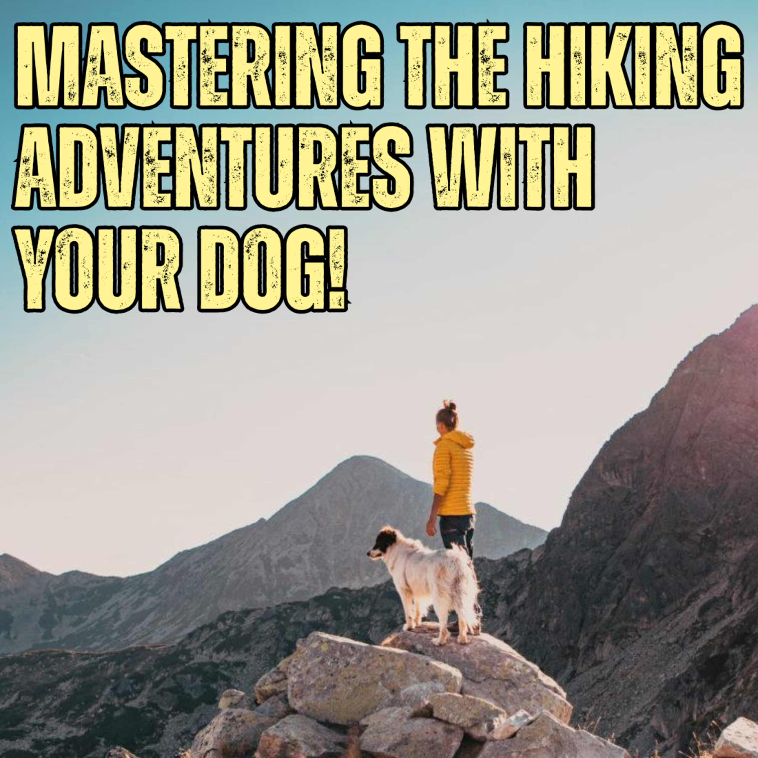 Mastering Safe Hiking With Your Dog