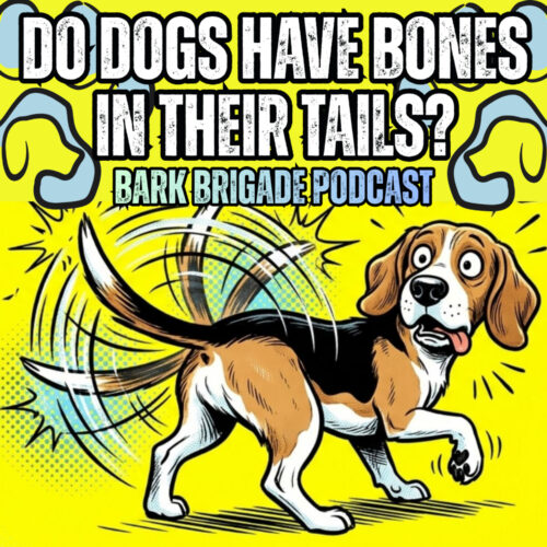 Bark Brigade Podcast