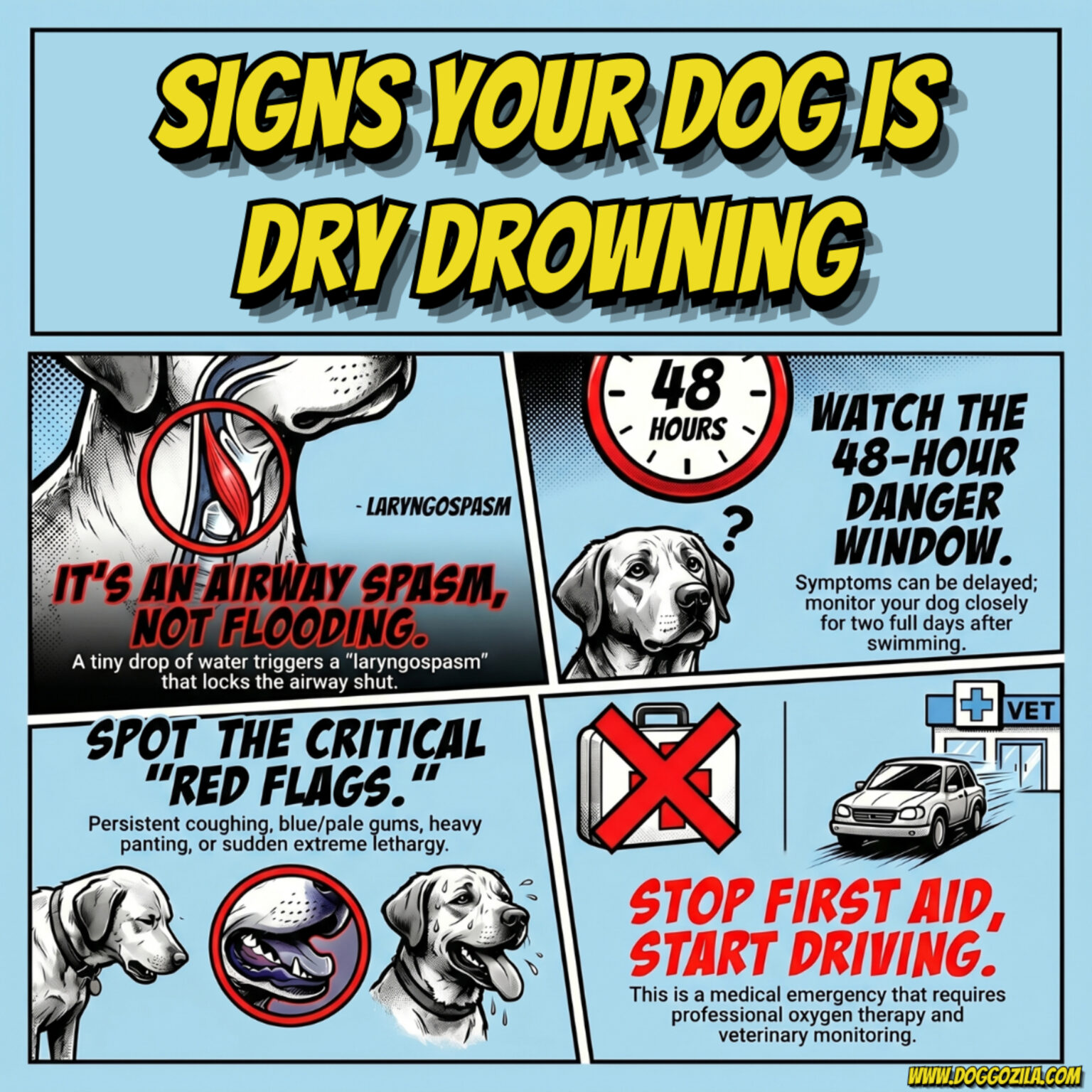 Signs Your Dog is Dry Drowning