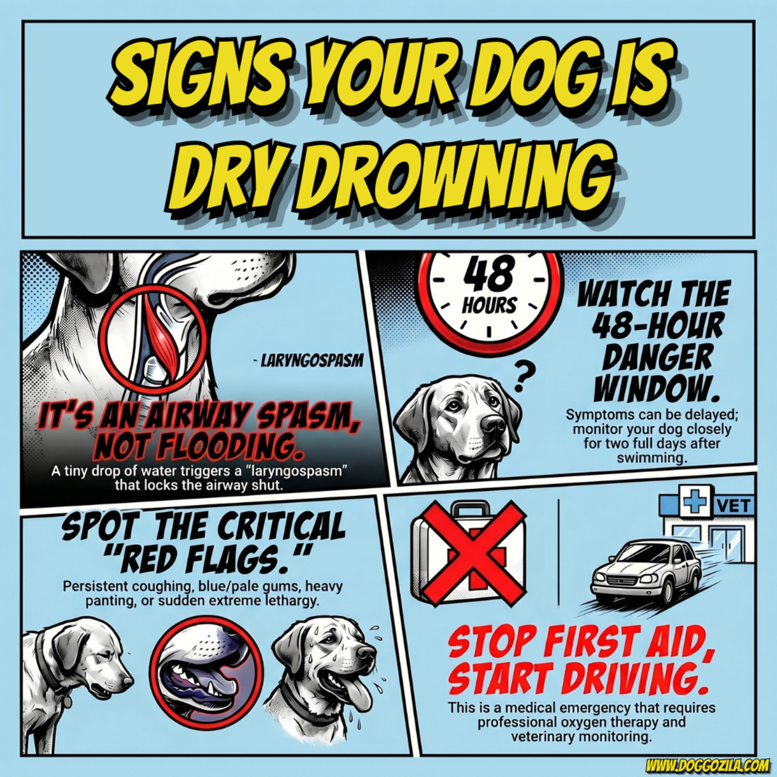 Signs Your Dog is Dry Drowning