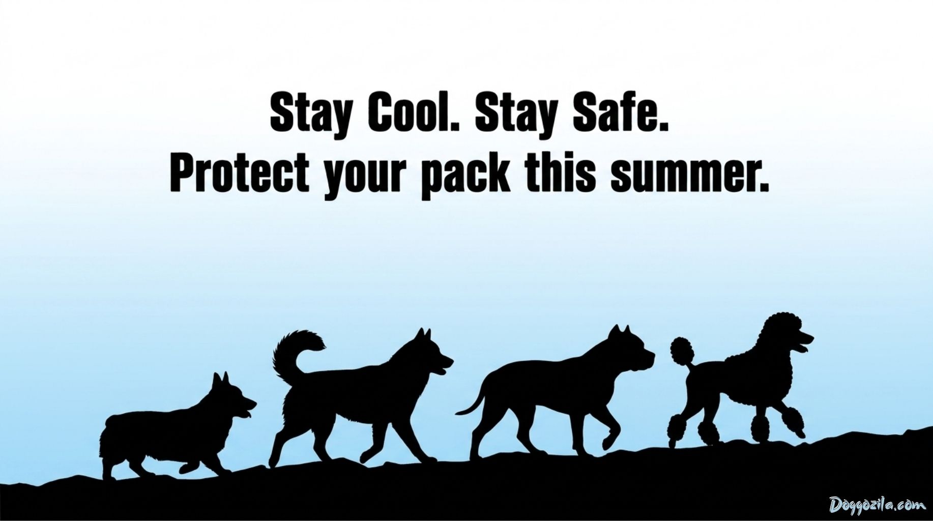 stay cool and safe and protect your dogs this summer from overheating