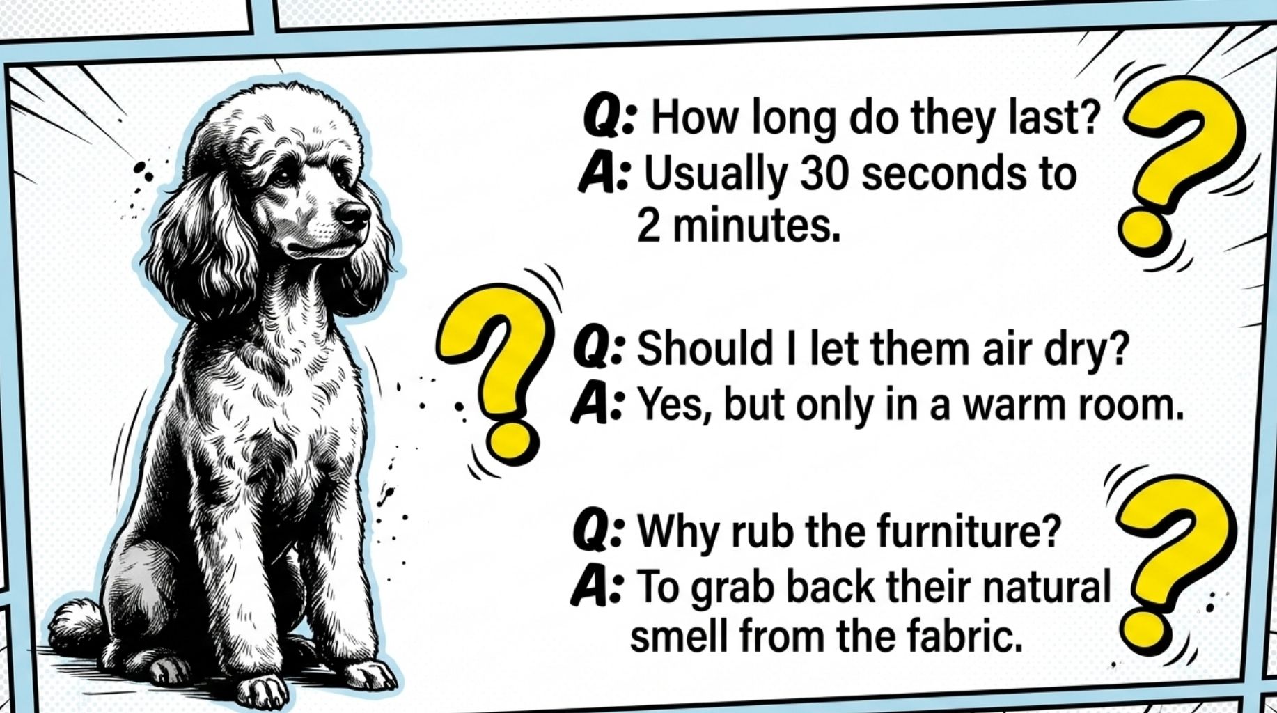 frequently asked questions about Why do dogs get zoomies after a bath