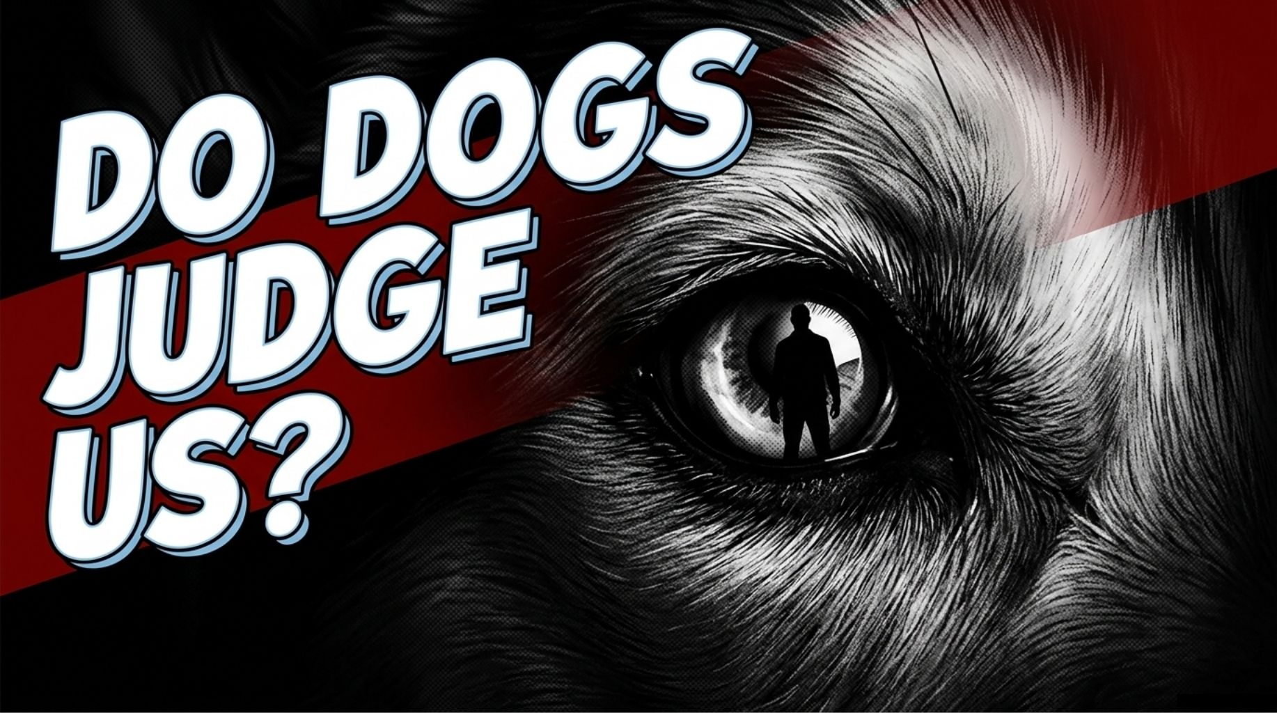 The Truth About How Dogs Silently Watch and Judge Us