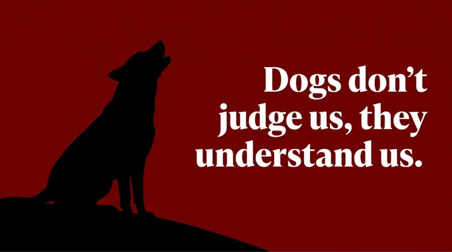 dogs don't judge us they understand us