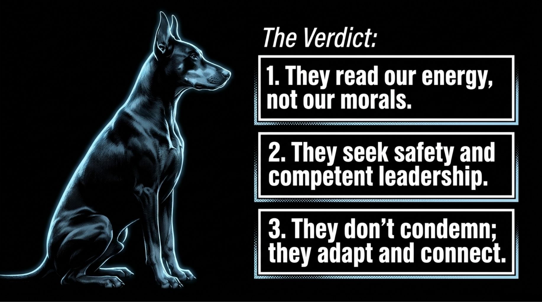 key takeaways about specific dog behavior