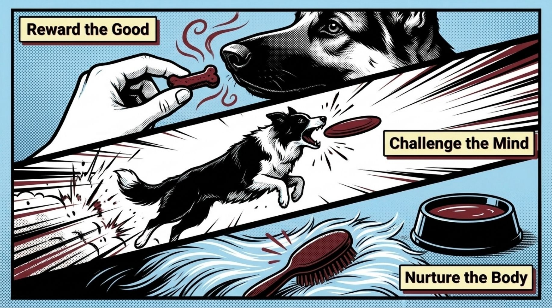 positive reinforcement training