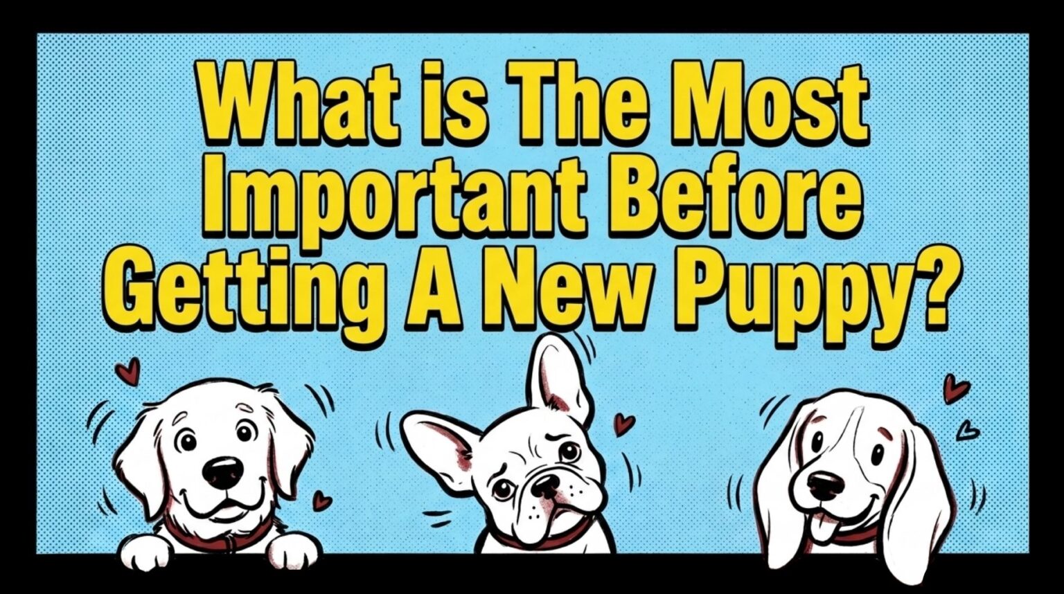 What is The Most Important Before Getting A New Puppy?