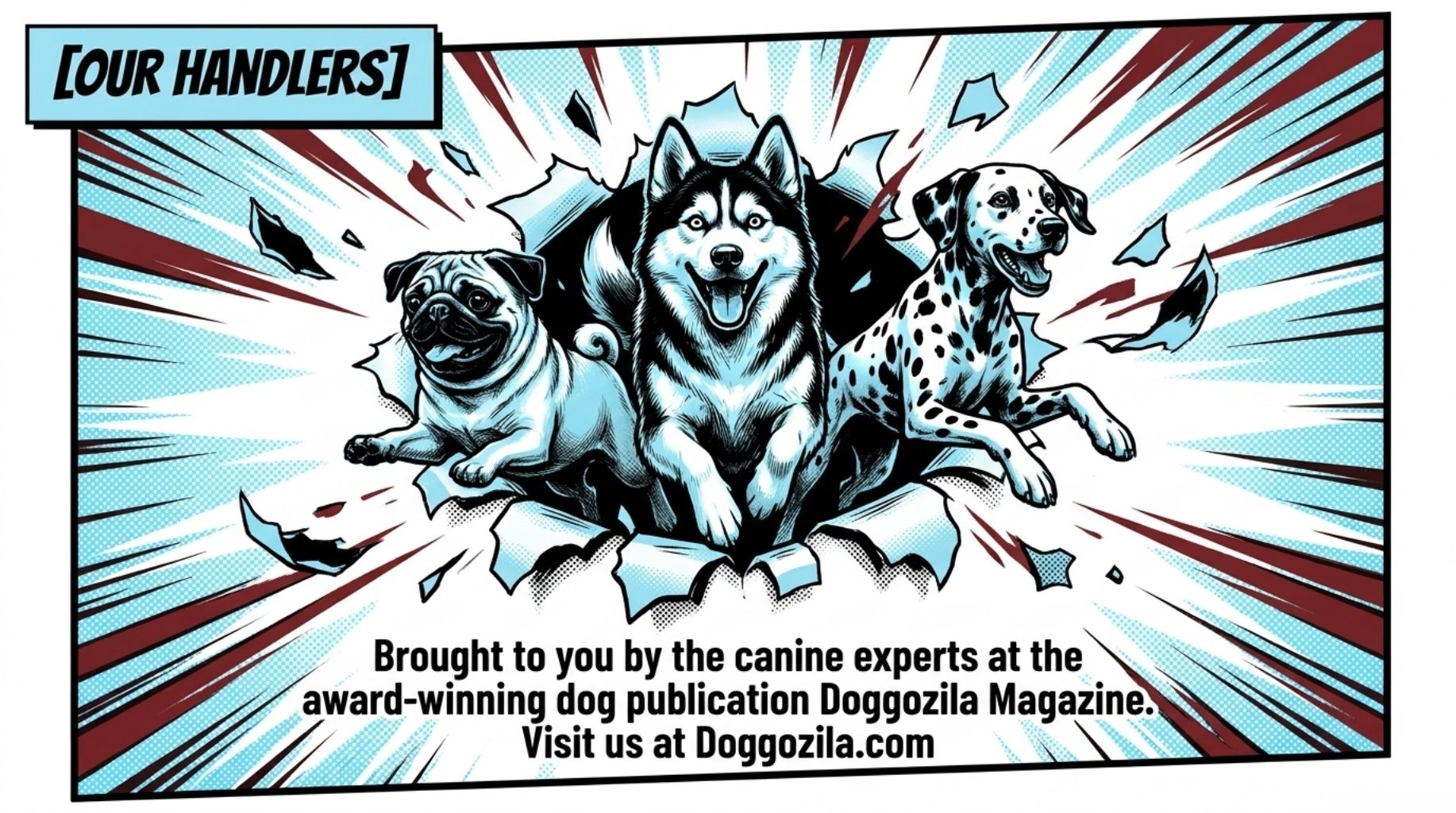 article by Doggozila Magazine at Doggozila.com
