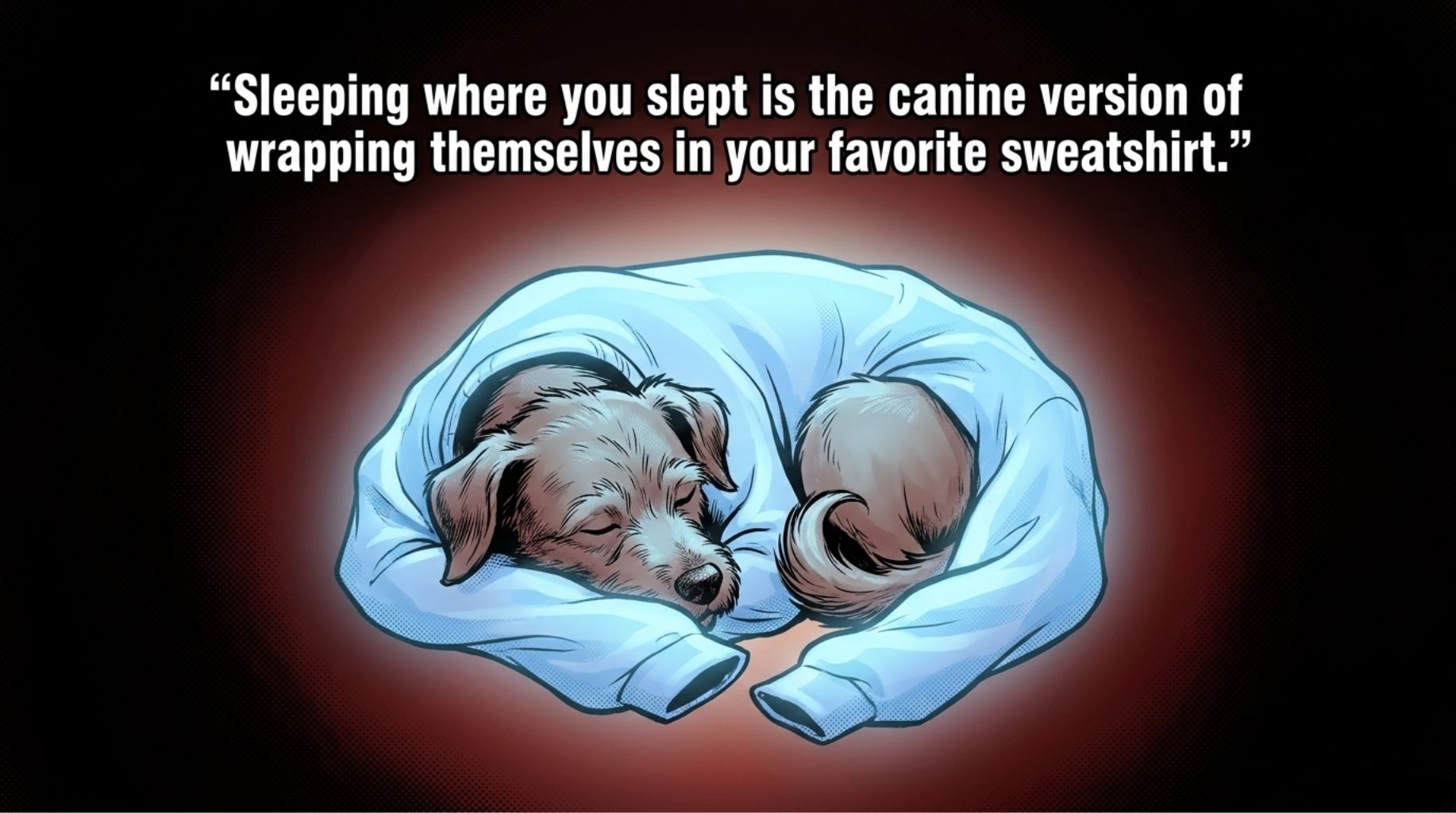 puppy is sleeping in the shirt of his owner